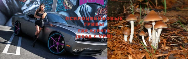 герыч Беломорск