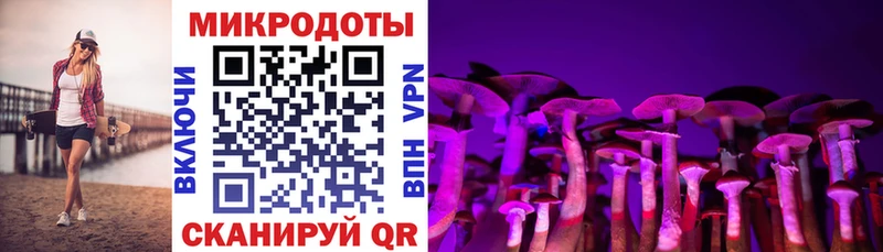 Галлюциногенные грибы Psilocybine cubensis  купить  цена  Волжск 