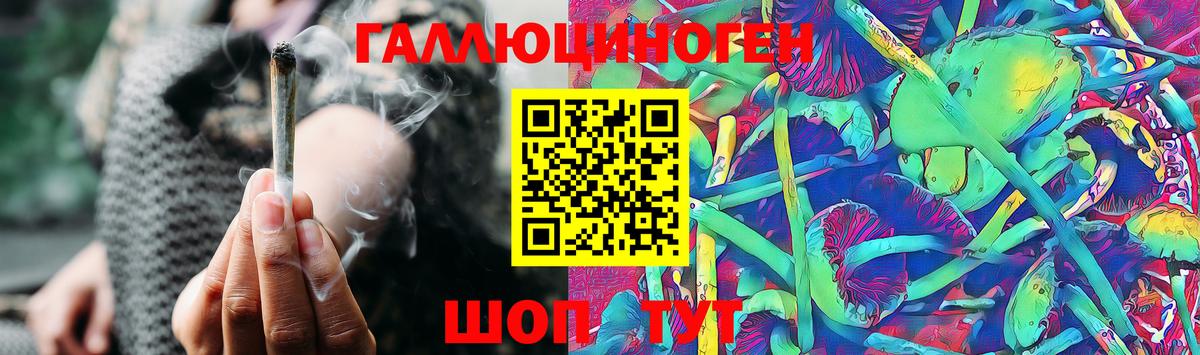 Галлюциногенные грибы GOLDEN TEACHER  Вход с VPN  Волжск 